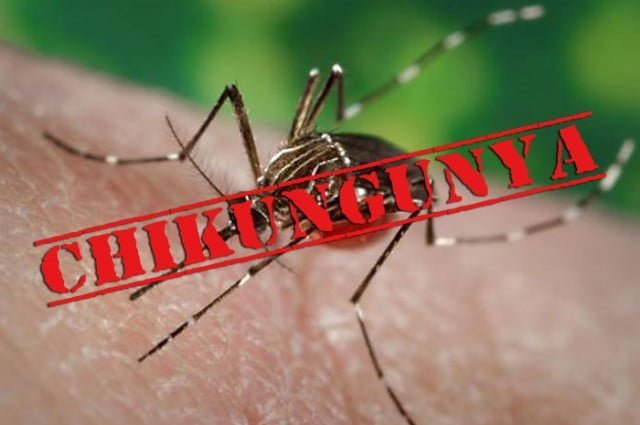 Chikungunya Ke Lakshan, Ilaj & Gharelu Upay chikungunya-ke-lakshan-ilaj-gharelu-upay-%e0%a4%9a%e0%a4%bf%e0%a4%95%e0%a4%a8%e0%a4%97%e0%a5%81%e0%a4%a8%e0%a4%bf%e0%a4%af%e0%a4%be-%e0%a4%95%e0%a5%87-%e0%a4%b2%e0%a4%95%e0%a5%8d%e0%a4%b7%e0%a4%a3