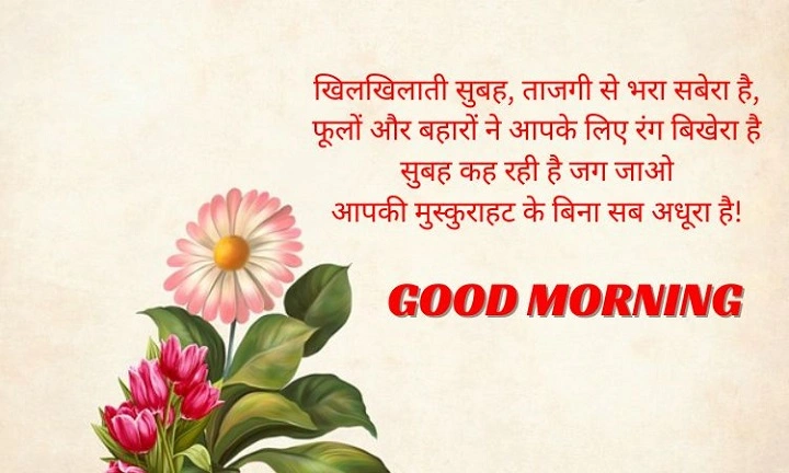 Hindi Shayari Good Morning: एक प्यारी सुबह की शायरी hindi shayari good morning