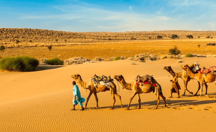 Top Destinations Covered in Rajasthan Desert Tour Packages You Should Know Screenshot 6