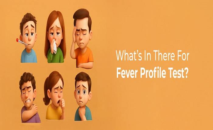 Understanding the Fever Profile Test List for Timely Infection Diagnosis Whats In There For Fever Profile Test