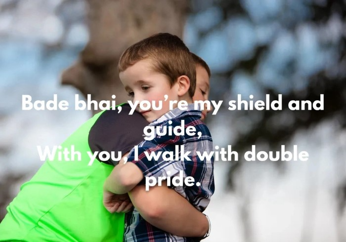 Where to Use Status Bhai Ke Liye Shayari