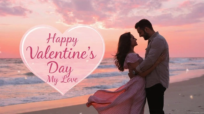 Husband Valentine Day Shayari